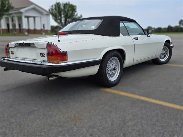 1989 Jaguar XJS (CC-2100849) for sale in Saratoga Springs, New York