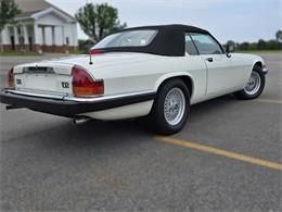 1989 Jaguar XJS (CC-2100849) for sale in Saratoga Springs, New York