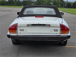 1989 Jaguar XJS (CC-2100849) for sale in Saratoga Springs, New York