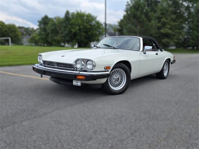 1989 Jaguar XJS (CC-2100849) for sale in Saratoga Springs, New York