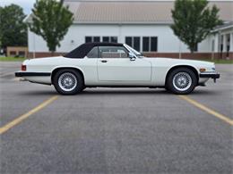 1989 Jaguar XJS (CC-2100849) for sale in Saratoga Springs, New York