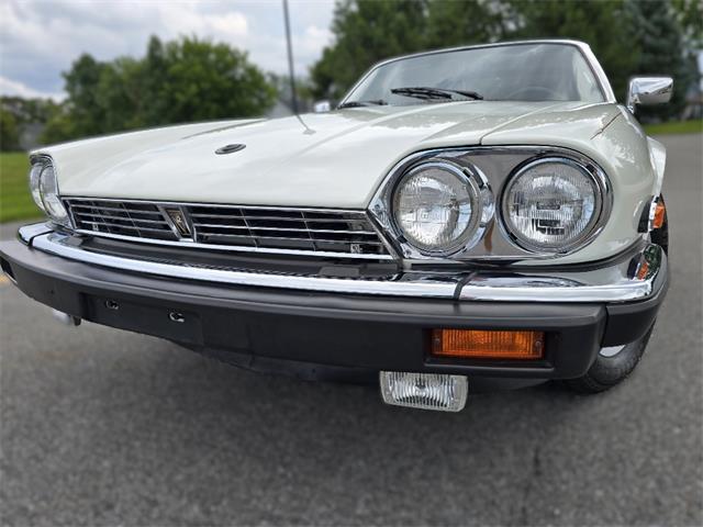 1989 Jaguar XJS (CC-2100849) for sale in Saratoga Springs, New York