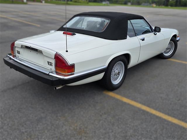 1989 Jaguar XJS (CC-2100849) for sale in Saratoga Springs, New York