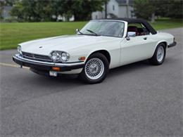 1989 Jaguar XJS (CC-2100849) for sale in Saratoga Springs, New York