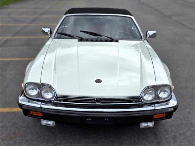 1989 Jaguar XJS (CC-2100849) for sale in Saratoga Springs, New York