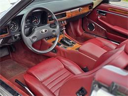 1989 Jaguar XJS (CC-2100849) for sale in Saratoga Springs, New York
