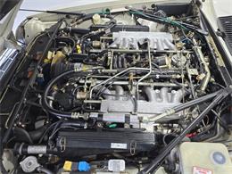1989 Jaguar XJS (CC-2100849) for sale in Saratoga Springs, New York