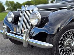 1954 MG TF (CC-2100854) for sale in Saratoga Springs, New York
