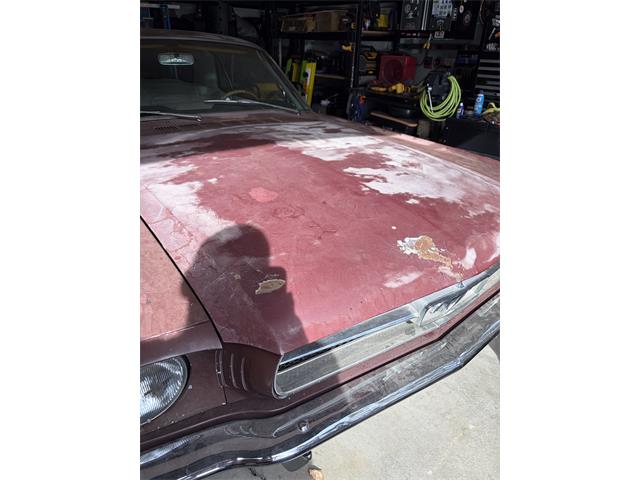 1965 Ford Mustang (CC-2108650) for sale in Bend, Oregon