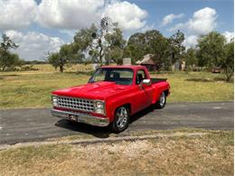 1980 Chevrolet C10 (CC-2100868) for sale in Fredericksburg, Texas