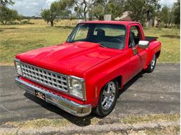 1980 Chevrolet C10 (CC-2100868) for sale in Fredericksburg, Texas