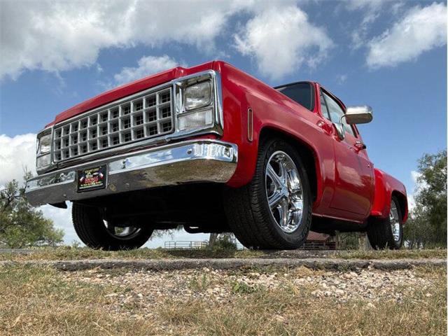 1980 Chevrolet C10 (CC-2100868) for sale in Fredericksburg, Texas