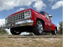 1980 Chevrolet C10 (CC-2100868) for sale in Fredericksburg, Texas