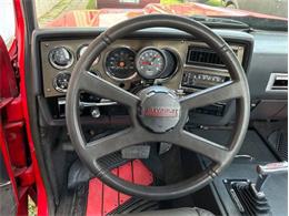 1980 Chevrolet C10 (CC-2100868) for sale in Fredericksburg, Texas