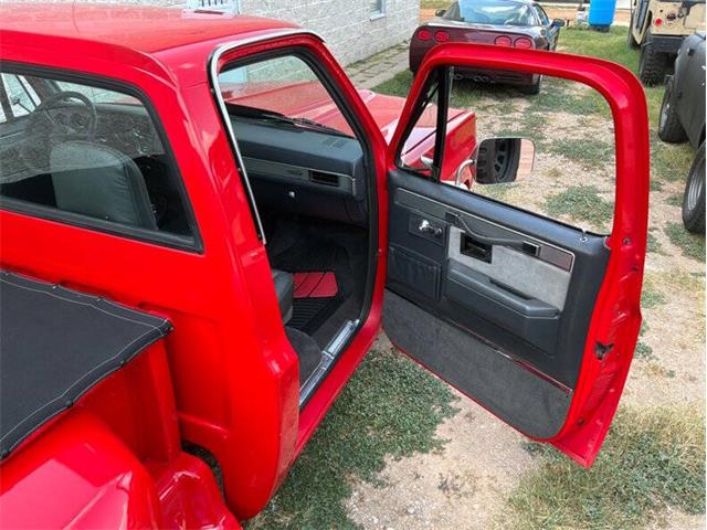 1980 Chevrolet C10 (CC-2100868) for sale in Fredericksburg, Texas