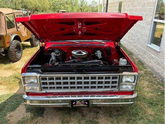 1980 Chevrolet C10 (CC-2100868) for sale in Fredericksburg, Texas