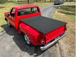 1980 Chevrolet C10 (CC-2100868) for sale in Fredericksburg, Texas