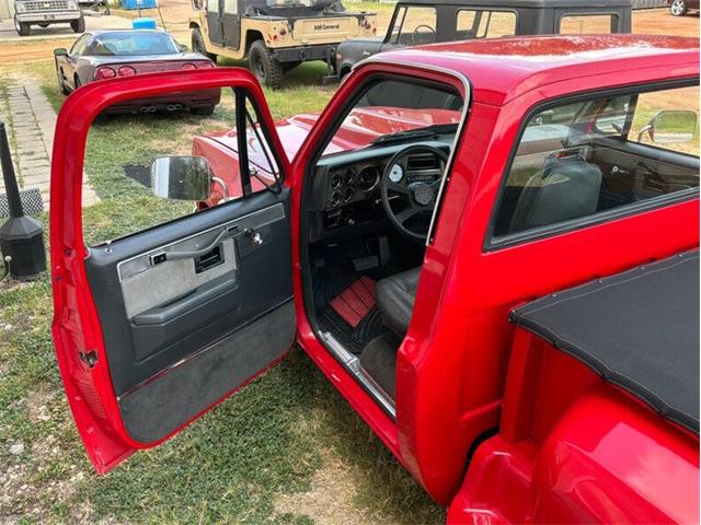 1980 Chevrolet C10 (CC-2100868) for sale in Fredericksburg, Texas