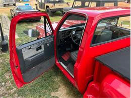 1980 Chevrolet C10 (CC-2100868) for sale in Fredericksburg, Texas