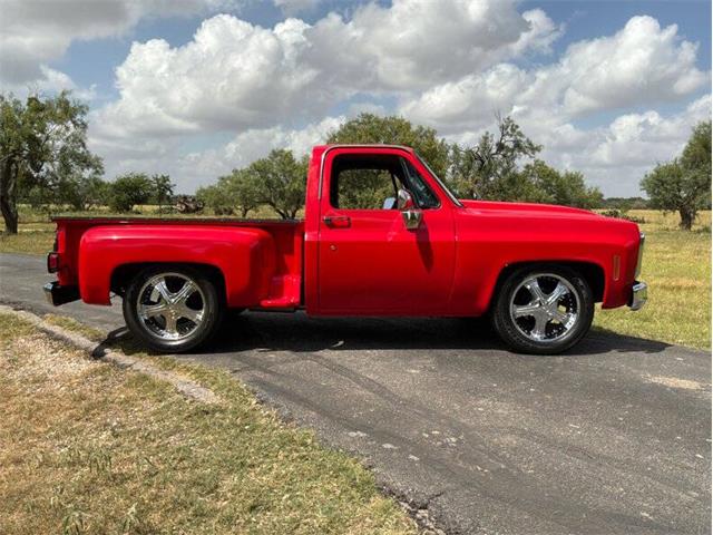 1980 Chevrolet C10 (CC-2100868) for sale in Fredericksburg, Texas
