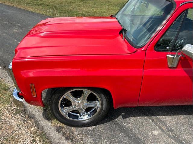 1980 Chevrolet C10 (CC-2100868) for sale in Fredericksburg, Texas
