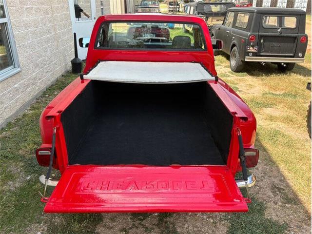 1980 Chevrolet C10 (CC-2100868) for sale in Fredericksburg, Texas