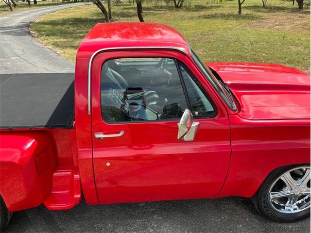 1980 Chevrolet C10 (CC-2100868) for sale in Fredericksburg, Texas