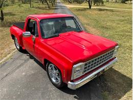1980 Chevrolet C10 (CC-2100868) for sale in Fredericksburg, Texas