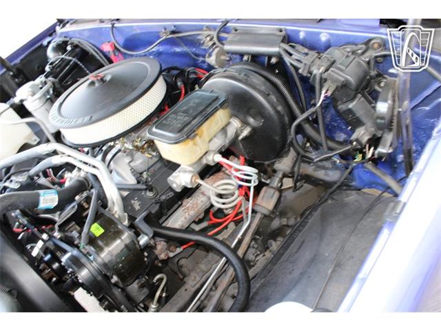 1981 Chevrolet C10 (CC-2108686) for sale in Houston, Texas