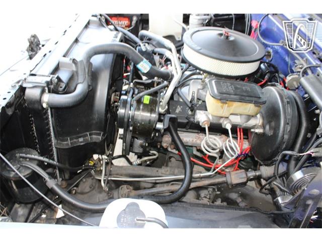 1981 Chevrolet C10 (CC-2108686) for sale in Houston, Texas