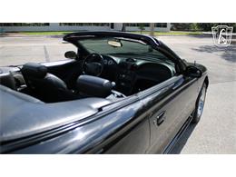 1997 Ford Mustang SVT Cobra (CC-2108702) for sale in Lake Mary, Florida