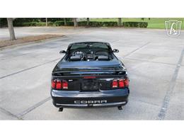 1997 Ford Mustang SVT Cobra (CC-2108702) for sale in Lake Mary, Florida