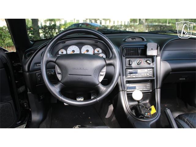 1997 Ford Mustang SVT Cobra (CC-2108702) for sale in Lake Mary, Florida