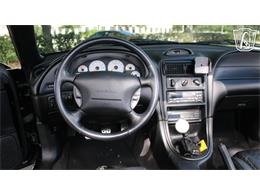 1997 Ford Mustang SVT Cobra (CC-2108702) for sale in Lake Mary, Florida