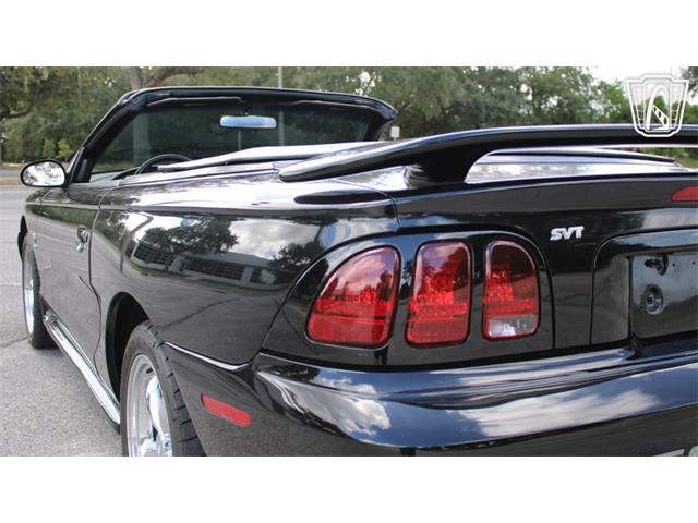 1997 Ford Mustang SVT Cobra (CC-2108702) for sale in Lake Mary, Florida