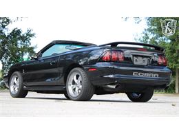 1997 Ford Mustang SVT Cobra (CC-2108702) for sale in Lake Mary, Florida