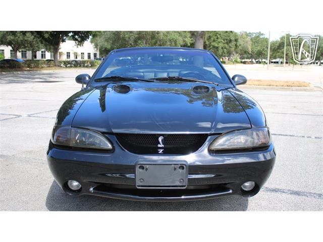 1997 Ford Mustang SVT Cobra (CC-2108702) for sale in Lake Mary, Florida