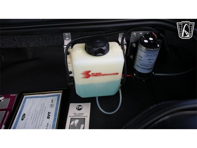 1997 Ford Mustang SVT Cobra (CC-2108702) for sale in Lake Mary, Florida