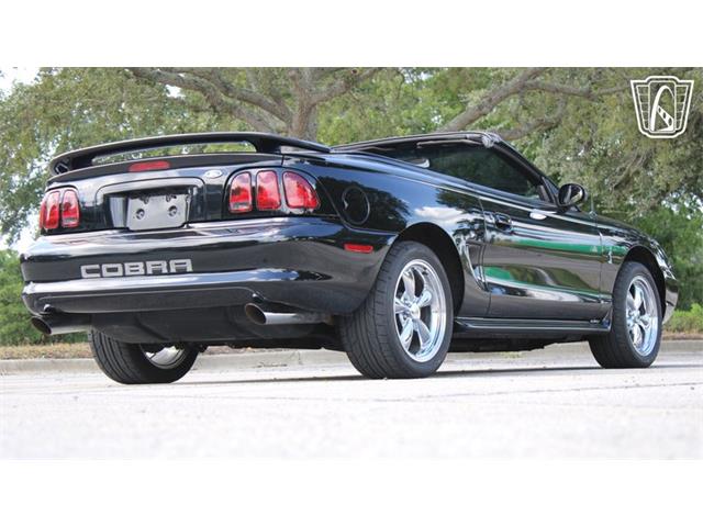 1997 Ford Mustang SVT Cobra (CC-2108702) for sale in Lake Mary, Florida