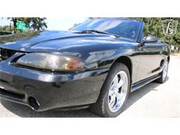 1997 Ford Mustang SVT Cobra (CC-2108702) for sale in Lake Mary, Florida