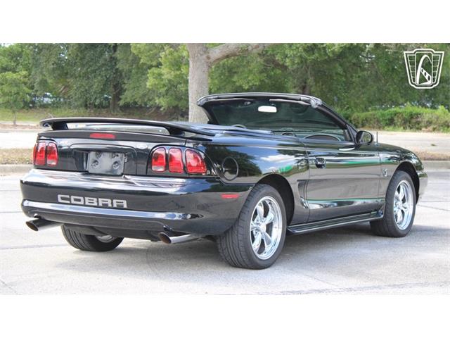 1997 Ford Mustang SVT Cobra (CC-2108702) for sale in Lake Mary, Florida