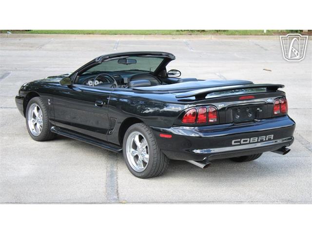 1997 Ford Mustang SVT Cobra (CC-2108702) for sale in Lake Mary, Florida