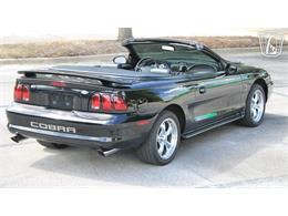 1997 Ford Mustang SVT Cobra (CC-2108702) for sale in Lake Mary, Florida
