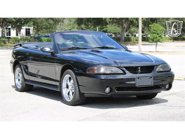 1997 Ford Mustang SVT Cobra (CC-2108702) for sale in Lake Mary, Florida