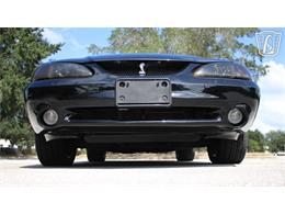 1997 Ford Mustang SVT Cobra (CC-2108702) for sale in Lake Mary, Florida