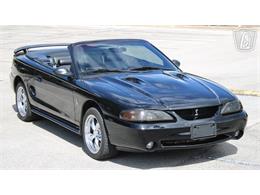 1997 Ford Mustang SVT Cobra (CC-2108702) for sale in Lake Mary, Florida