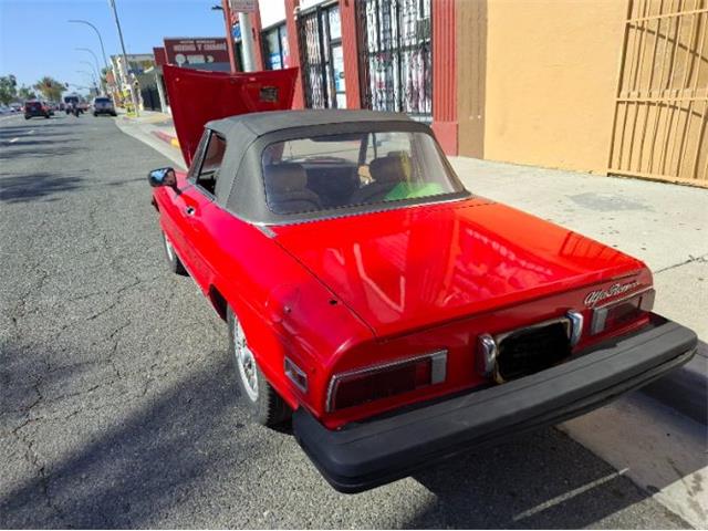 1978 Alfa Romeo Spider Veloce (CC-2108731) for sale in Cadillac, Michigan