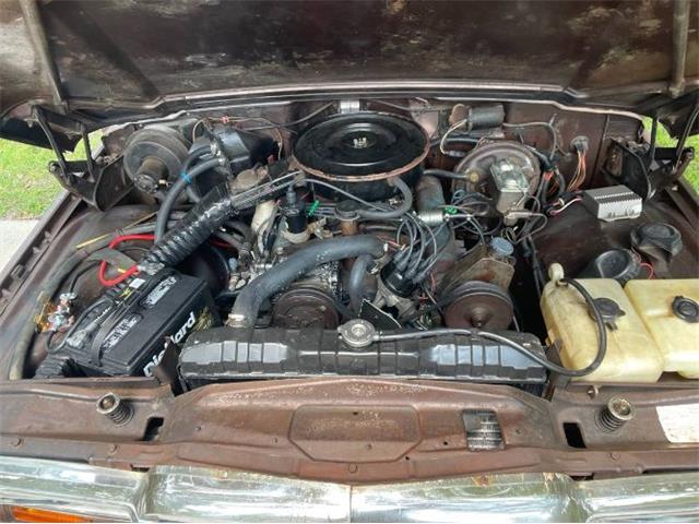 1979 Jeep Cherokee Chief (CC-2108757) for sale in Cadillac, Michigan
