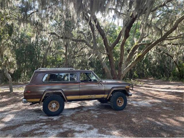 1979 Jeep Cherokee Chief (CC-2108757) for sale in Cadillac, Michigan