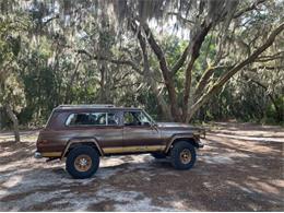 1979 Jeep Cherokee Chief (CC-2108757) for sale in Cadillac, Michigan